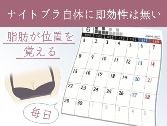 サボらずに付け続ければ脂肪が位置を覚える