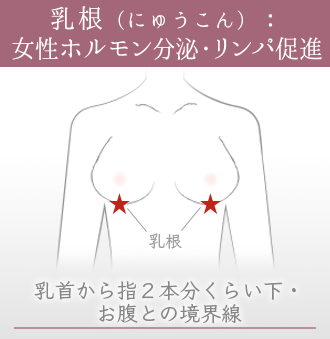 乳根：乳首から指2本分下、お腹との境界線にあるツボ
