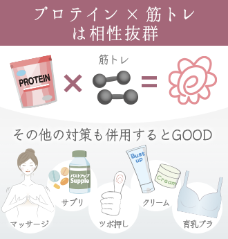 プロテインと最も相性がいいのは「バストアップ筋トレ」