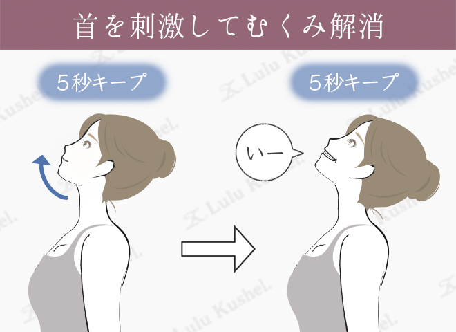 小顔になれる首の筋肉を鍛える体操のやり方